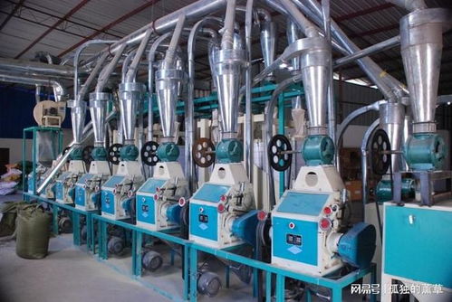 2025年11月面粉機廠家推薦 產能、專利與環保三維數據透視